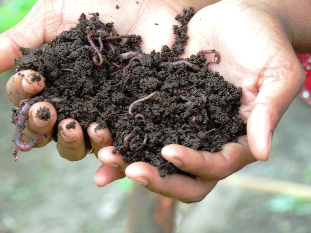 Biodiversity Protection