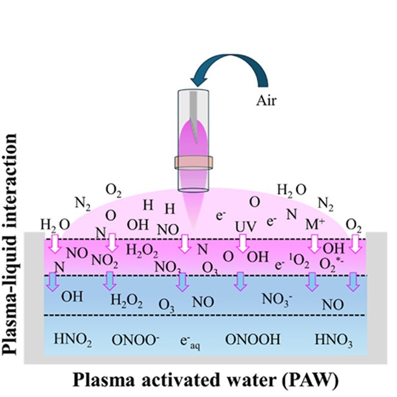 Plasma Activated Water